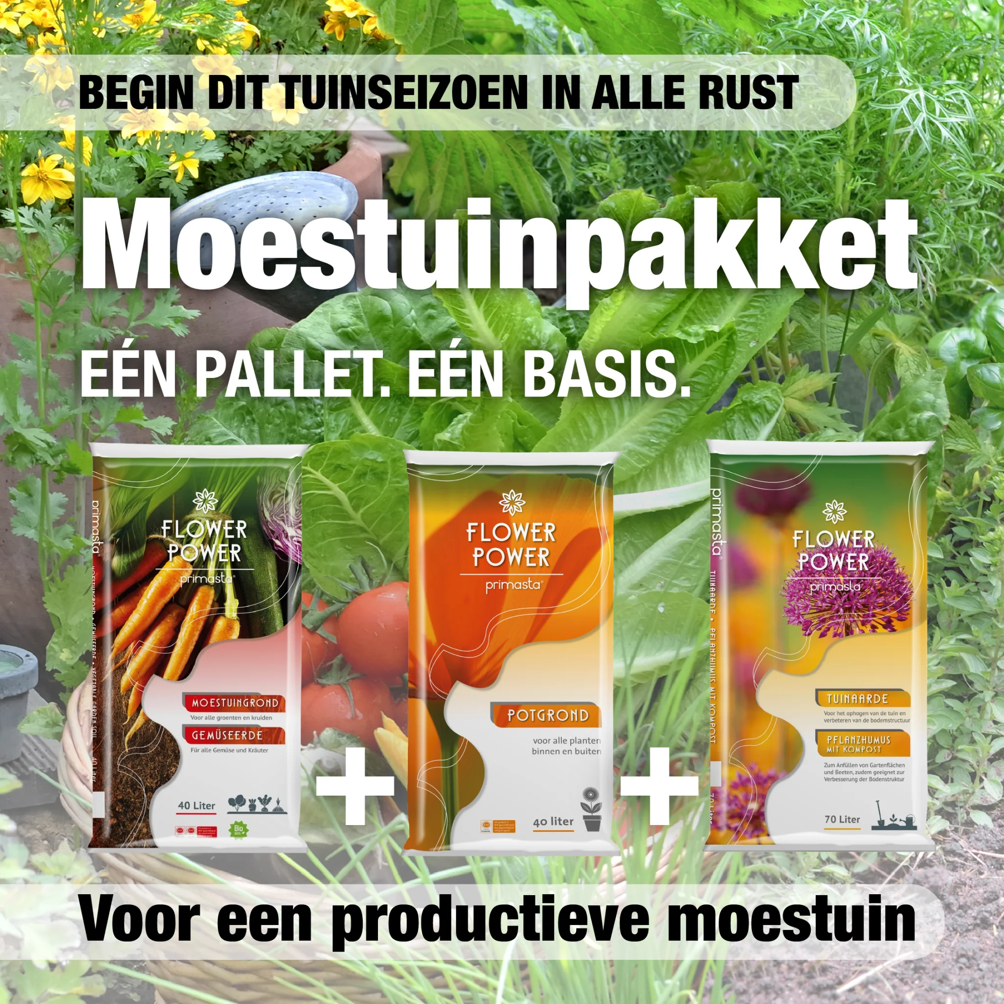 Productafbeelding 1